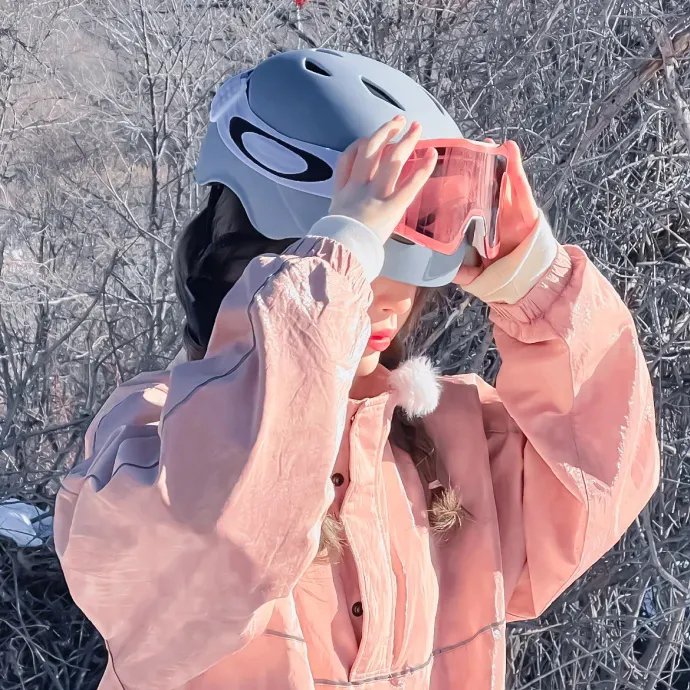 阿丽塔：战斗天使