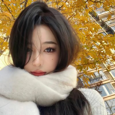 小狗吉米走私事件